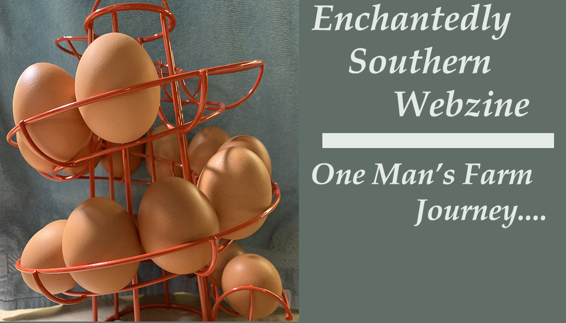 Enchantedly Southern
